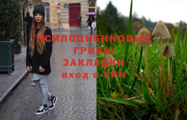 марки lsd Абаза
