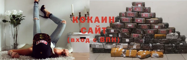ECSTASY Каменка